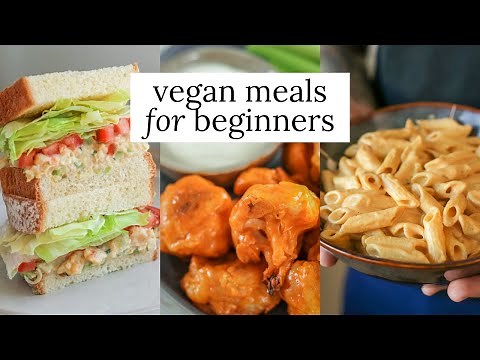 3 Easy Vegan Recipes for Beginners | Vegan Basics