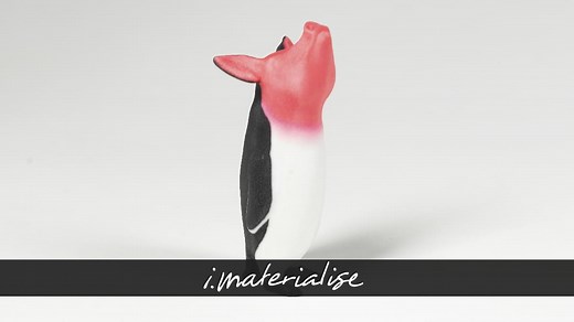 Online Multicolor  3D Printing Service | i.materialise