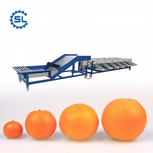 [Hot Item] Apple Fruit Washing Waxing and Sorting Machine