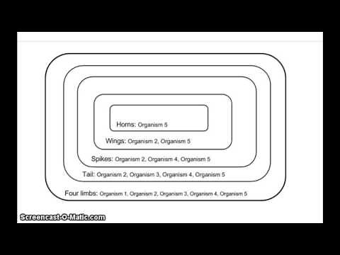Build your own cladogram - BetterLesson