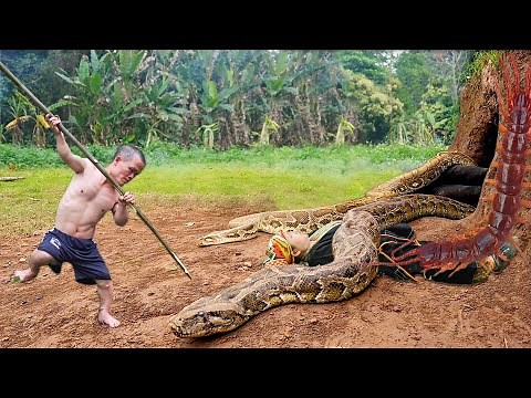 Dwarf family Primitive Life: Harvesting Ant Eggs Meet Giant Pythons and Ancient Poisonous Centipedes