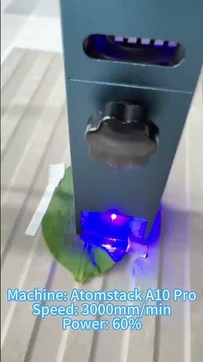 Laser Engrave Taylor on a Leaf with Atomstack A10 Pro