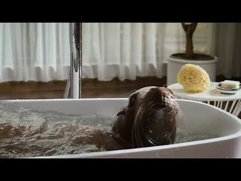 Pergo TimberCraft™ + WetProtect™ Laminate Flooring