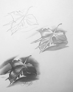 Should You Use an Art Projector, drawing portraits, grid method