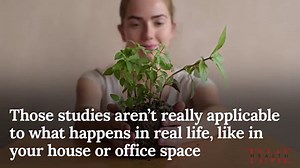 Your Houseplants Have Some Powerful Health Benefits