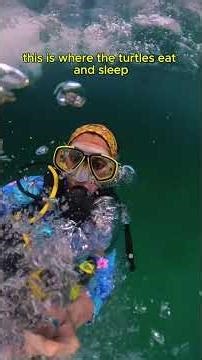 Scuba Diving to Clean Up a Coral Reef!