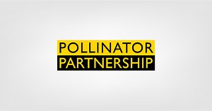 About Us | Pollinator.org