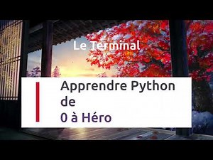 FORMATION PYTHON : Le Cours Complet pour Débuter (Tutoriel FR) | - 4 - Le terminal