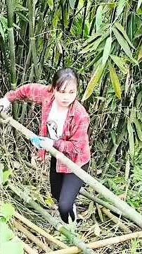 Beautiful Village Life 3 – Daily Village Moments & Natural Charm#VillageLife #RuralLife #Countryside