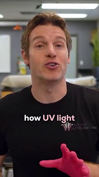 Beneath the Surface: The Structure of Your Epidermis