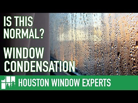 Why Do Windows Get Condensation?