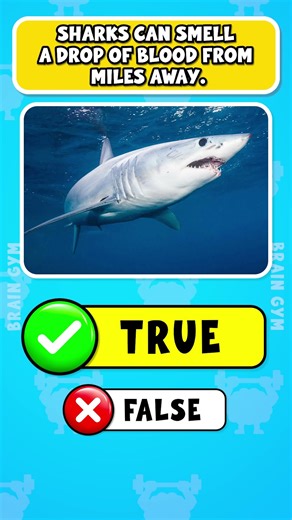 True or False: Amazing Animal Facts You Won’t Believe