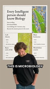 63K views · 297 reactions | Take a Break from Scrolling! Explore World History, Logic, Math & More interactively. | Nibble | Facebook