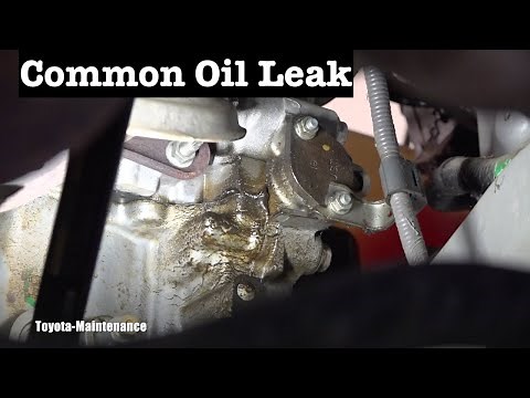 Typical Timing Chain Tensioner Oil Leak
