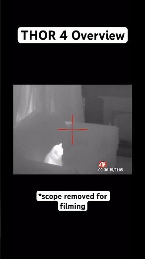 BEST Budget Thermal Scope? - ATN THOR 4