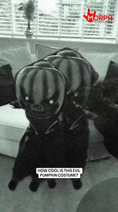 23 reactions | Tired of costumes that last barely 5 mins on Halloween...