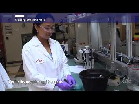 How to Control Contamination in PCR lab