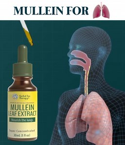 1.7K views · 87 reactions | How our mullein extract works  | Herbal Tea Therapy | Facebook