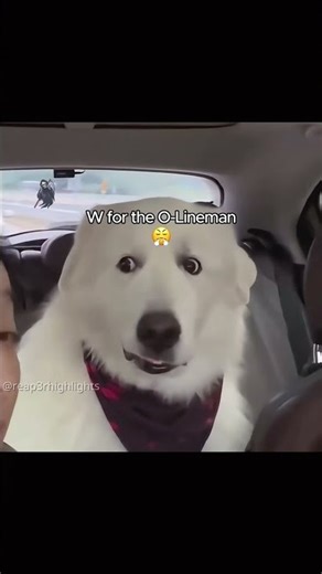 W Offensive lineman 😤❤️ #americanfootball