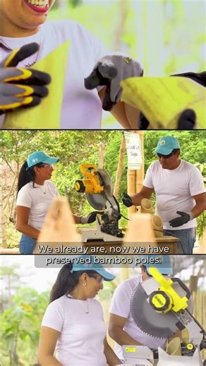 Medida AbE en Manejo Sostenible de Bambú