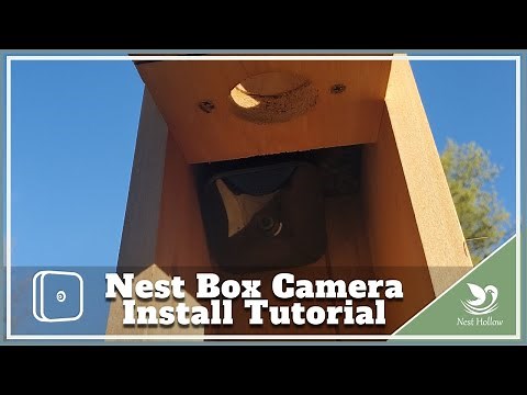 How to Install a Blink Camera In Your Nest Box/Birdhouse for Bird Monitoring