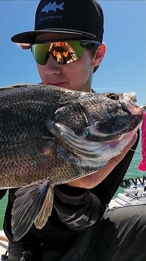 SNEAKY Berkley Gulp! Saltwater Bait👀