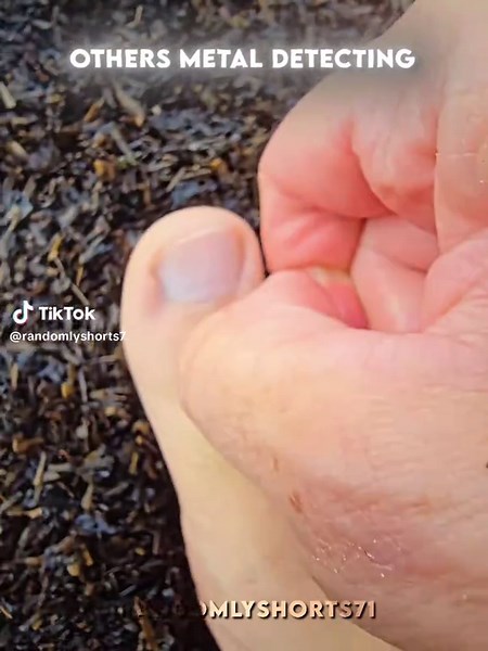 Metal Detecting Adventures: Unique Finds and Fun