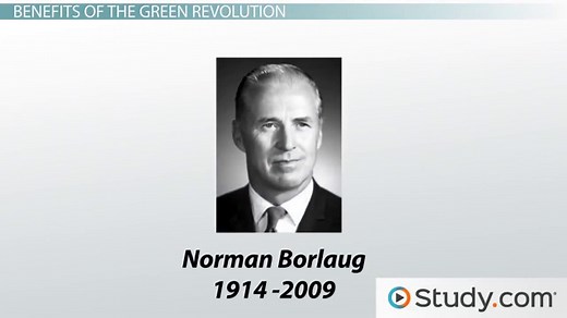 Green Revolution | Definition, Impact & Examples