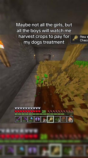 Minecraft Gameplay: Harvesting Crops for Dog's Treatment