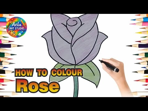 How to Colour a Rose 🌹 | Easy Rose Colouring Step by Step for Beginners