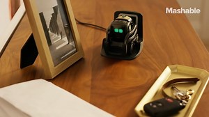 Meet Vector, the cutest AI-powered robot ever