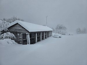 N.J. weather: Surprise 7 to 12 inches of snow hit these towns. Latest forecast.