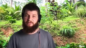 How to Kill Bugs in Herb Gardens