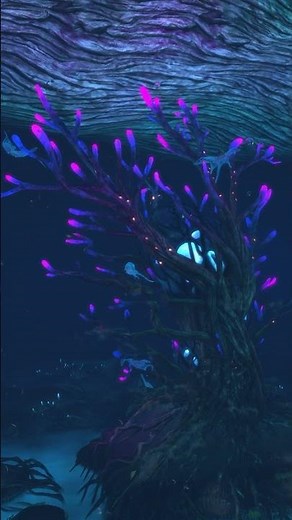 TOP FIVE Base Locations In SUBNAUTICA