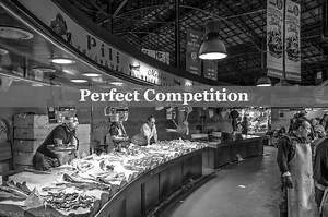 Perfect Competition Definition: No Transaction Costs, Economic Rationality