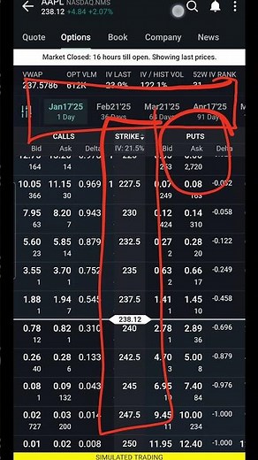 How To Buy Put Options On Interactive Brokers Mobile App [IBKR]