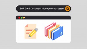 SAP DMS Document Management System - SAP Training and Coaching