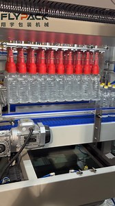 Pick and place case packer for PET bottles# Casepacker#casepackingmachine#factoryprice | Flypack Machinery