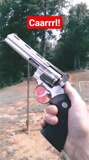 🧟‍♂️Rick's Revolver from The Walking Dead!🧟‍♀️ Colt Python!