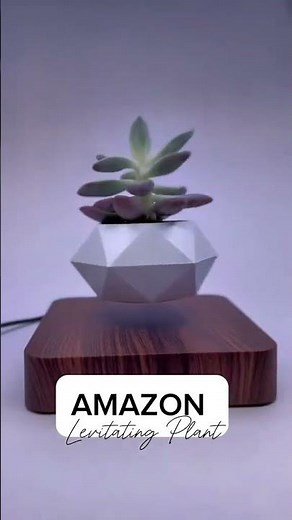 Levitating Air Bonsai Pot | Floating Plant for Stunning Decor