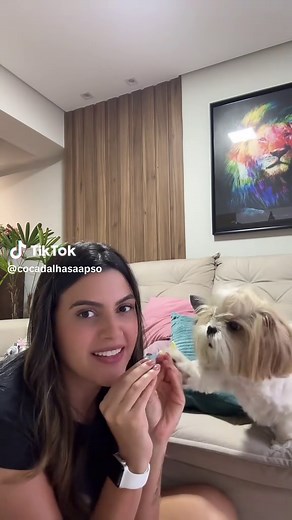 Shih Tzu and Lhasa Apso Mix: Adorable Dog Duo