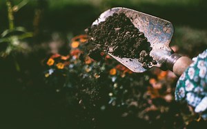 20 Songs About Digging - Singersroom.com