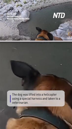 New video shows the rescue of a dog that injured its legs during a fall Friday in the Superstition Mountains in Arizona. | NTD Life