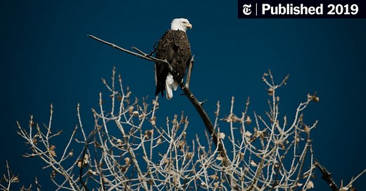 News Quiz: Test Your Knowledge of the Week’s Headlines (Published 2019)