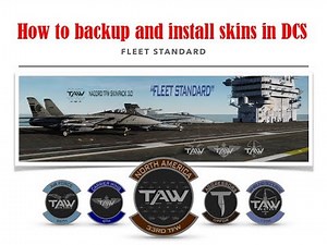 How to backup and install skins in DCS