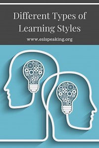 What are the 4 Different Types of Learning Styles for Language?