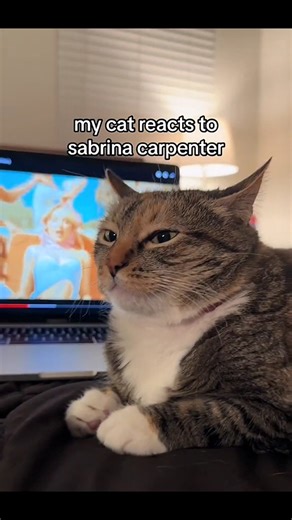 I Ranked the Funniest Pets Vibing to Music 😹🐾🎵