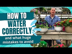How To Water Flowers Correctly - You MUST Get This Right for Beautiful Plants and Flowers
