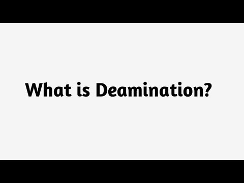What is Deamination ?