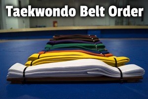 Taekwondo Belt Order: Complete Ranking System Guide
